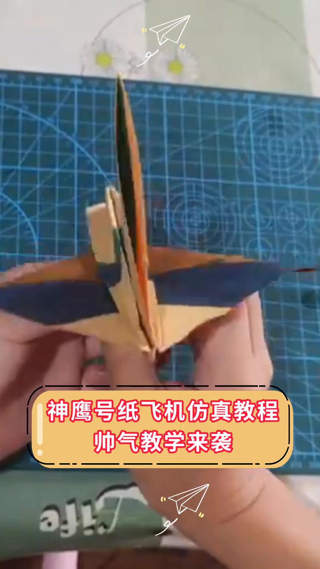 纸飞机开户籍教程-纸飞机开户籍教程详细步骤