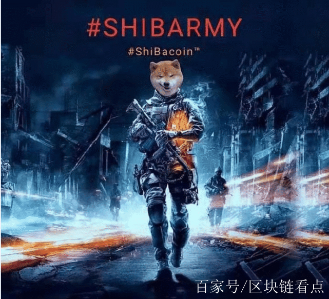 shib-士兵突击电视剧全集免费观看