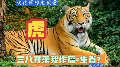 今期生肖六六来爆竹-今期生肖六六来,金幅美女配秀才