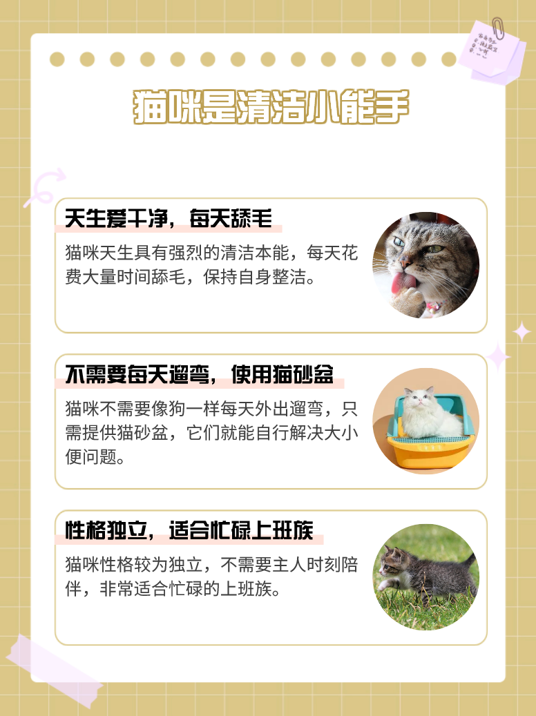 关于一清二白打一动物正确答案的信息