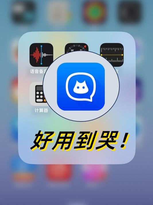 蝙蝠聊天软件app下载-蝙蝠聊天软件官方下载2024版