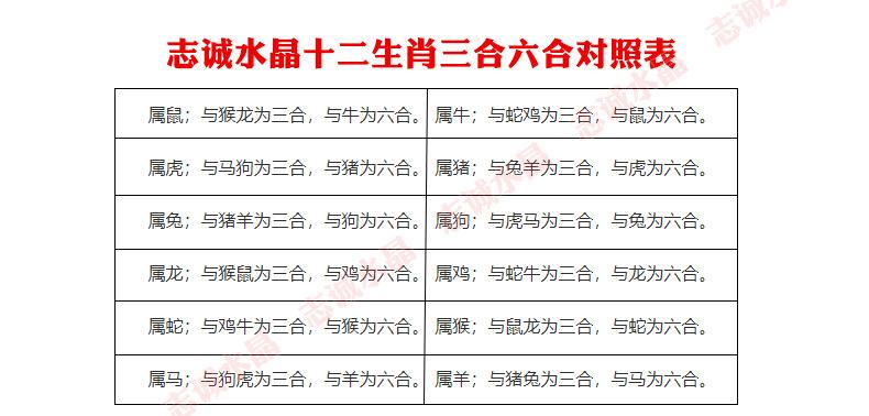 六字有玄机什么生肖-六字有玄机什么生肖呢