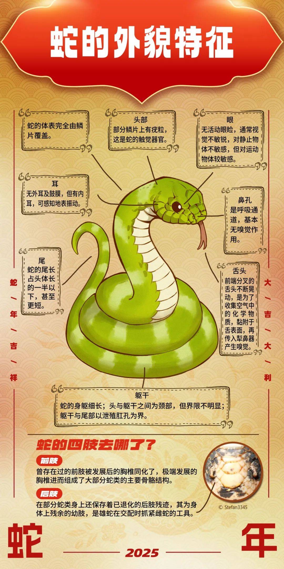 三条蛇缠大猪最佳答案-三条蛇缠大猪最佳答案是什么