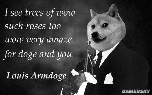 doge-doge网络语什么意思
