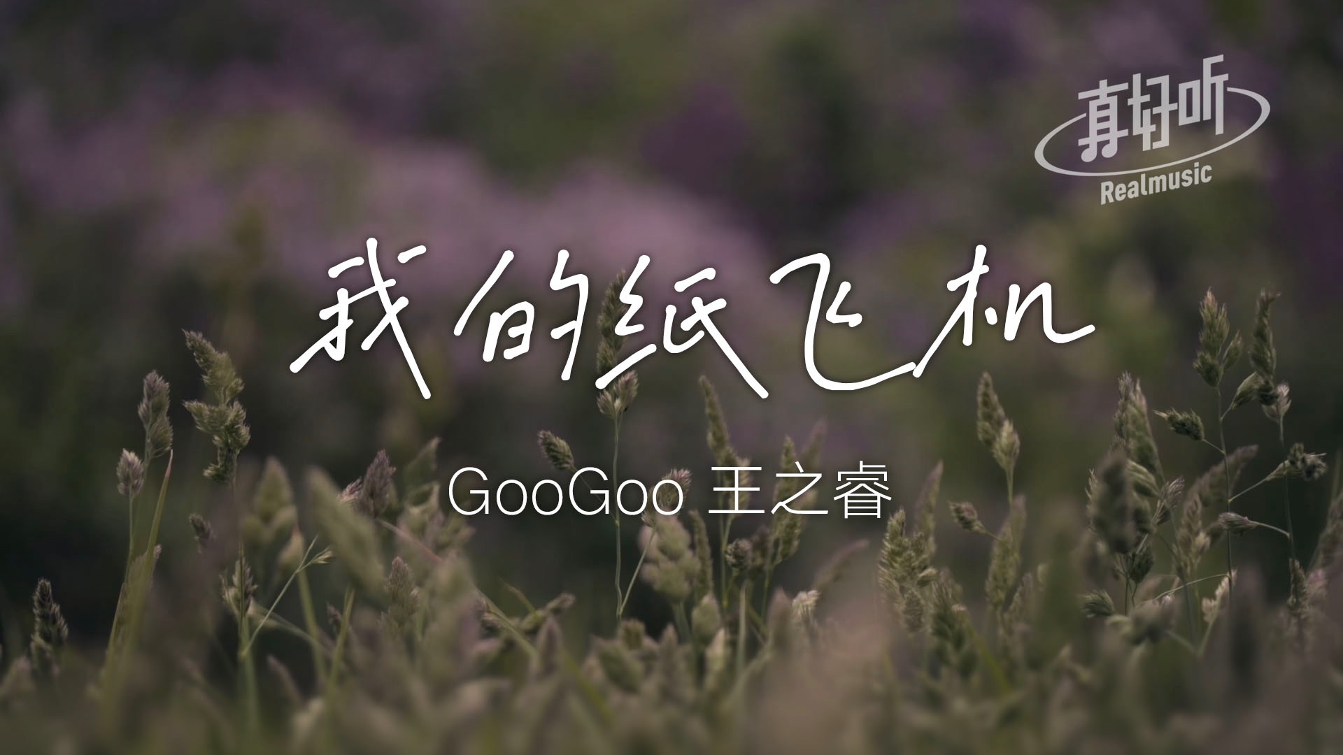 纸飞机下载官网英文-纸飞机中文版官网下载