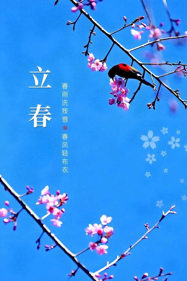 立春打一准确数子-立春指的是什么生肖