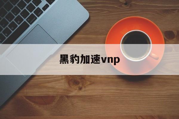 [黑豹加速vnp]黑豹加速器苹果版