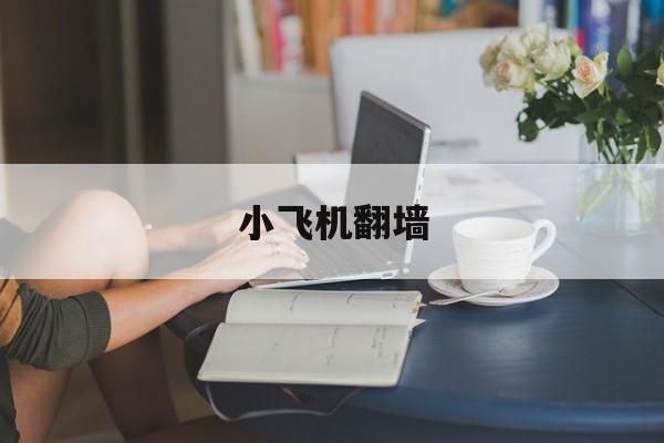 [小飞机翻墙]小飞机 外网