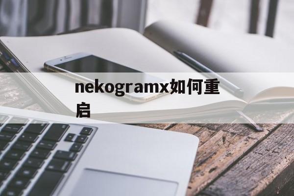 [nekogramx如何重启]nekogramx是什么软件