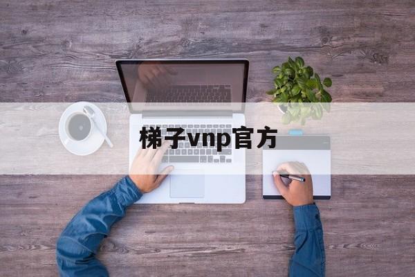 梯子vnp官方-梯子vnp官方网