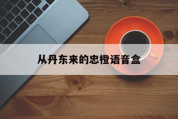 从丹东来的忠橙语音盒-你从丹东来换我一场雪白