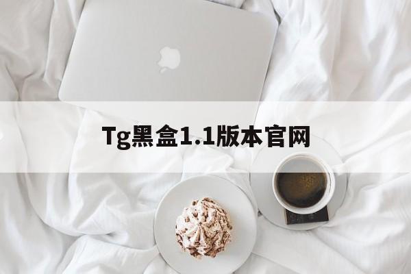 Tg黑盒1.1版本官网-betaflight黑盒子